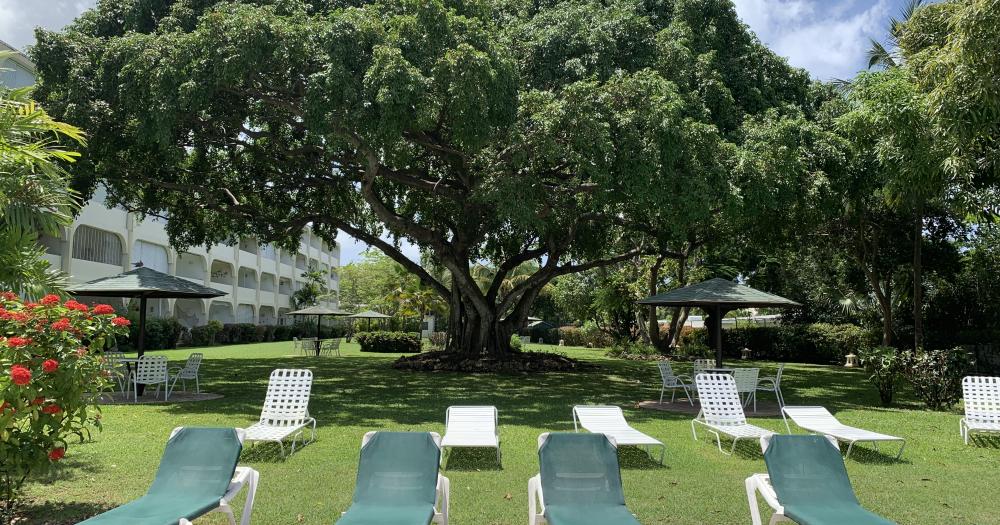 Golden View 317 Barbados Sotheby's International Realty • Barbados